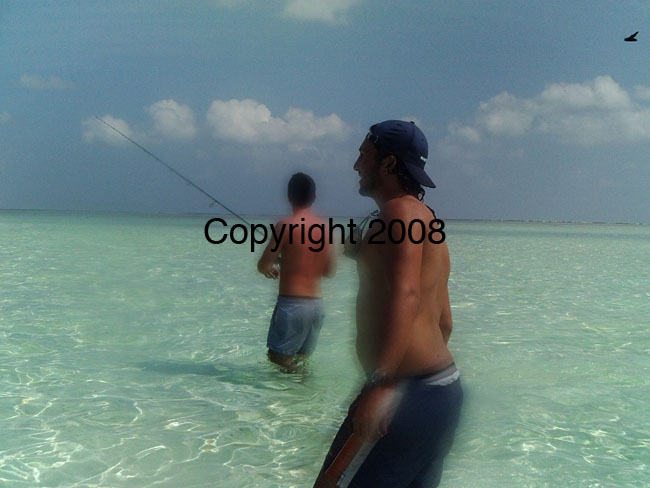 PICT0029