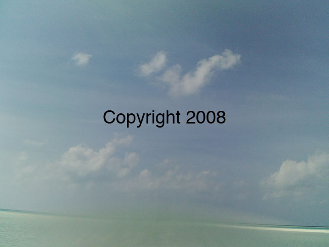 PICT0048
