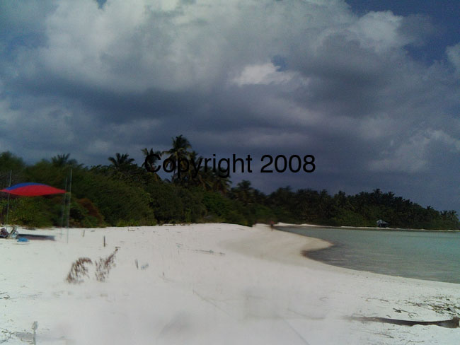 PICT0050