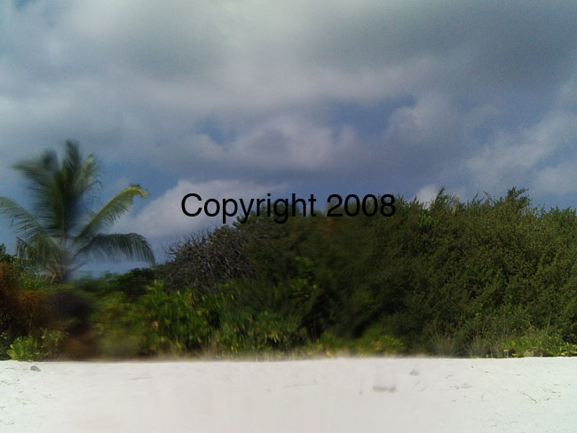 PICT0053