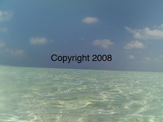 PICT0058