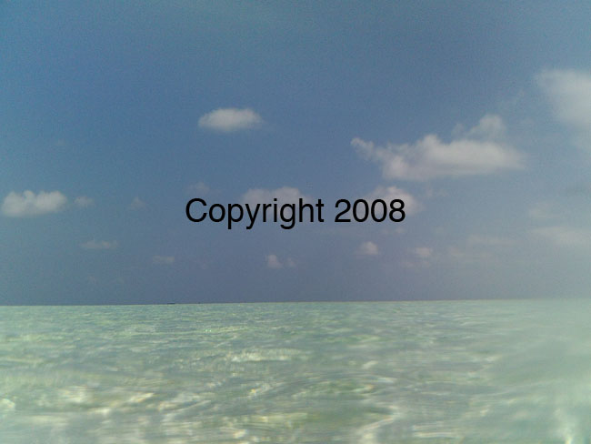 PICT0059