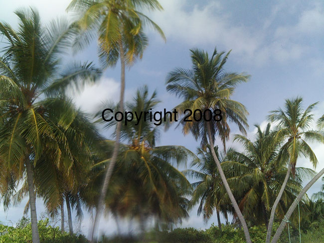 PICT0063