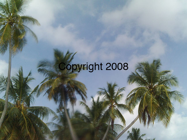 PICT0064