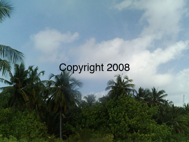 PICT0065
