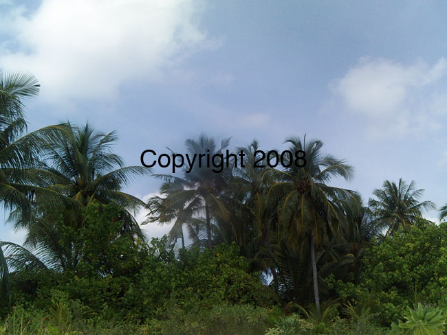 PICT0067