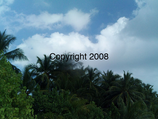 PICT0068