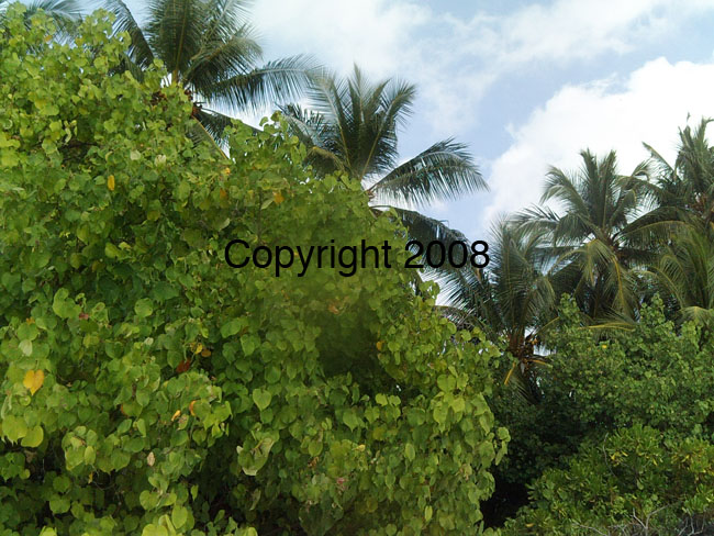 PICT0069
