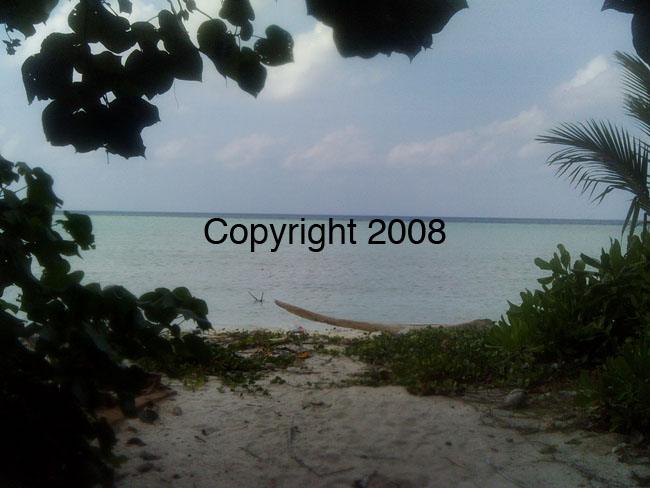 PICT0073