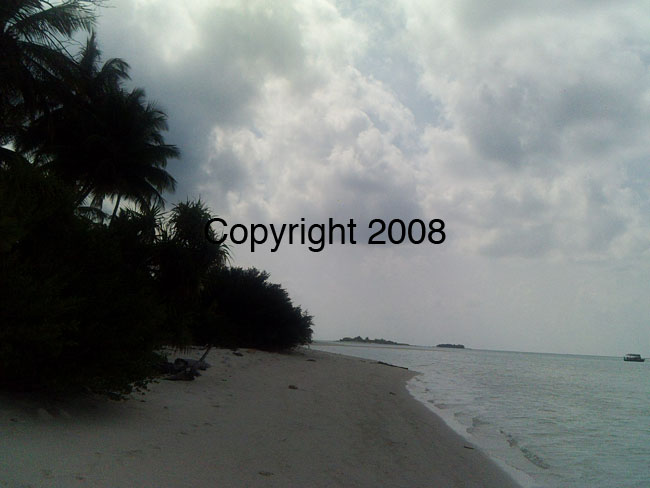 PICT0077