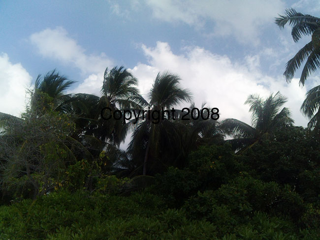 PICT0078