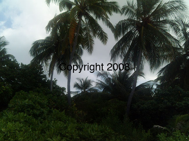 PICT0080