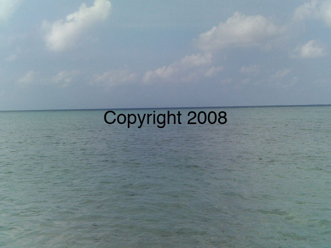 PICT0081