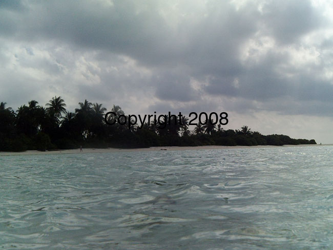 PICT0085