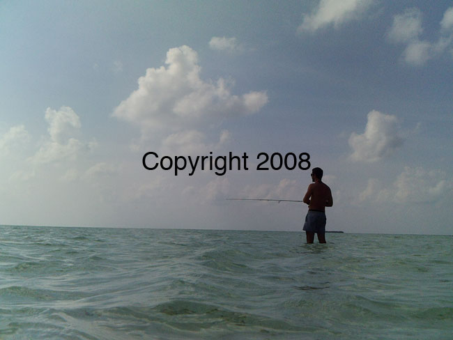 PICT0087