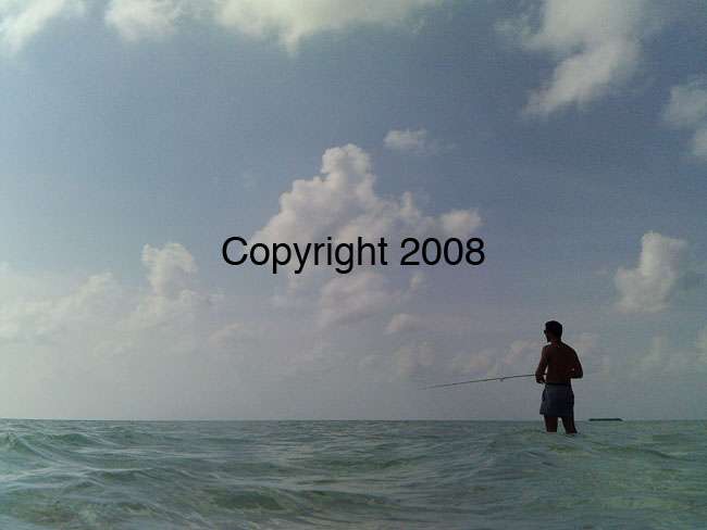 PICT0088
