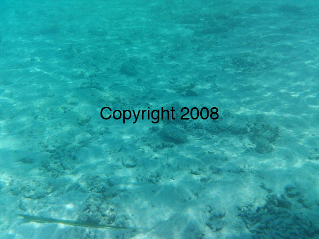 PICT0100
