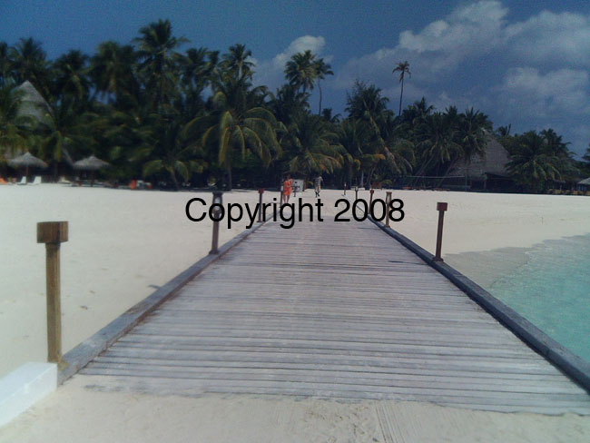 PICT0102