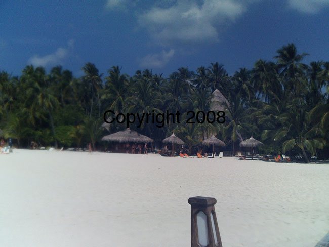 PICT0103