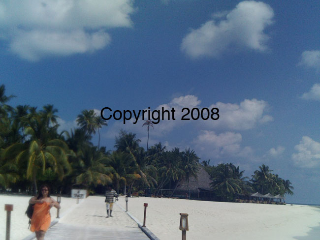 PICT0104