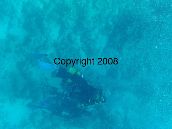 PICT0135