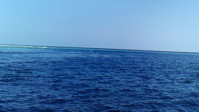PICT0137