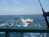 DSCN0715