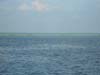 DSCN0729