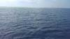 DSCN0774