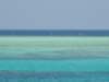 DSCN0796