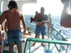 DSCN0802