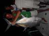 DSCN0833