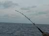 DSCN0844