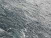 DSCN0846