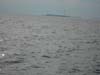 DSCN0848