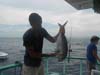 DSCN0880