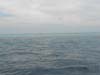 DSCN0888
