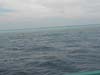 DSCN0889