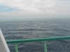 DSCN0890
