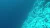 GOPR2224