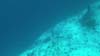 GOPR2231