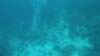GOPR2237