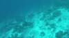 GOPR2239
