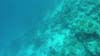 GOPR2242