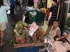 PICT0016