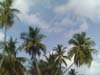 PICT0064
