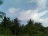 PICT0065