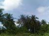 PICT0067