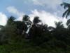 PICT0078