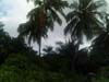 PICT0080